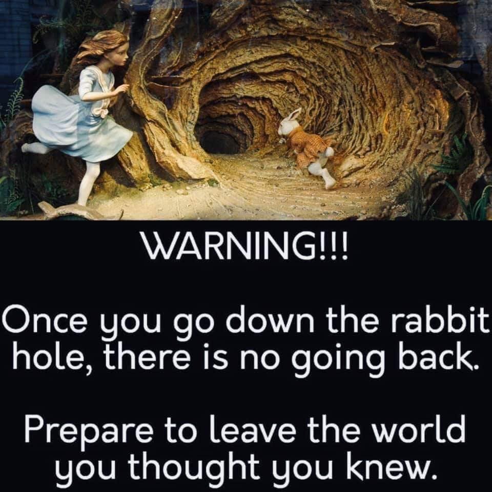 Track Cover