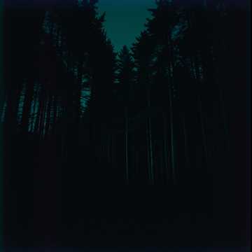 Forêt Qui Résonne