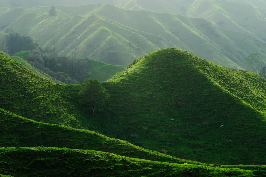 Winds Of The Green Hills